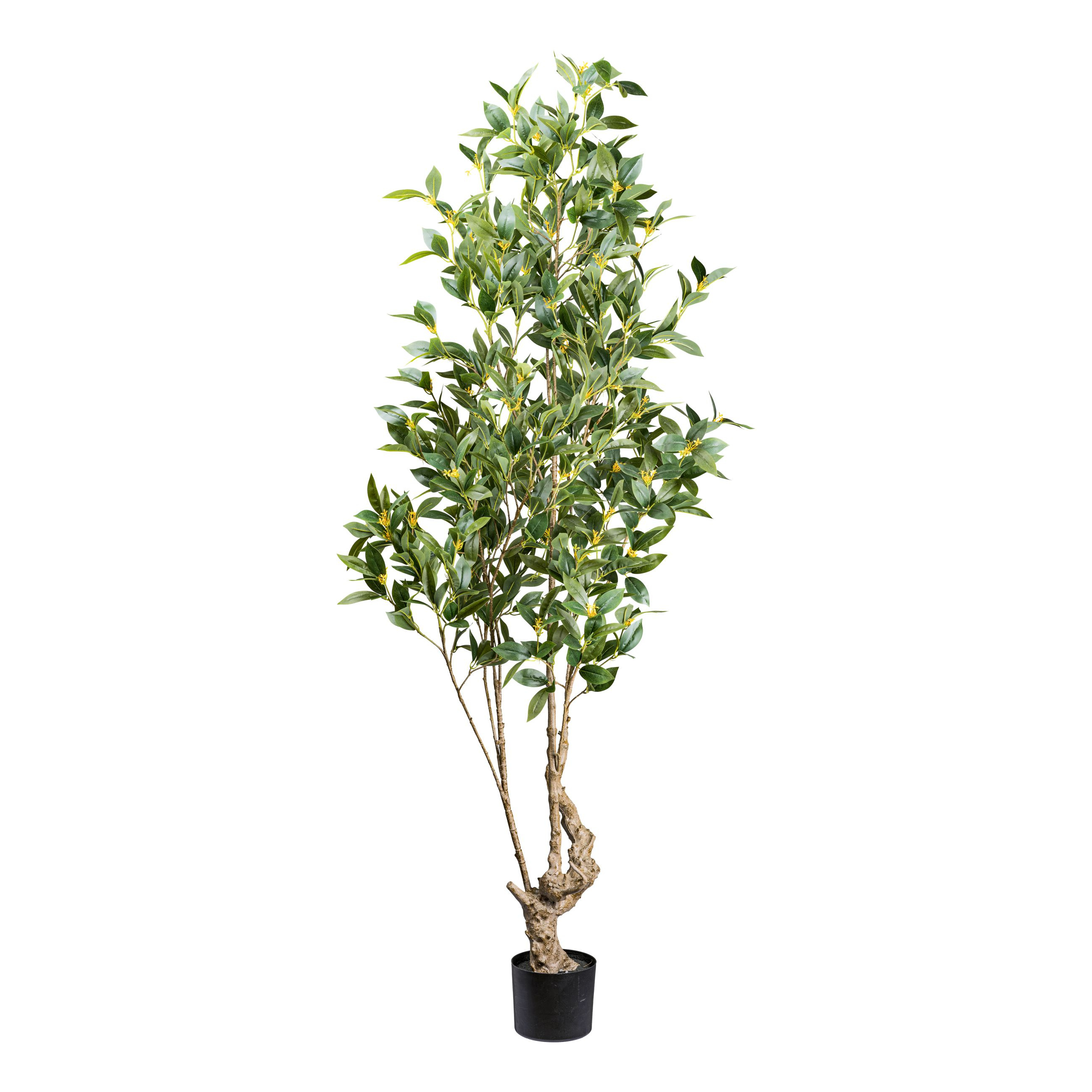GASPER Kunstpflanze Laurus LBH 90x100x195 cm grn Pflanze Kunstblume |  eBay.de